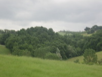 Canon PowerShot A590 IS, 2010:05:31 11:00:37 -- 1/160 sec, f/4.5.  No Flash, Auto.3264x2448 Red-Eye Reduction (Auto).