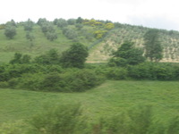 Canon PowerShot A590 IS, 2010:05:31 11:01:28 -- 1/160 sec, f/4.5.  No Flash, Auto.3264x2448 Red-Eye Reduction (Auto).