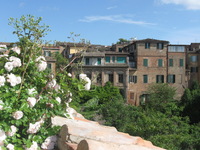 Canon PowerShot A590 IS, 2010:05:31 16:46:49 -- 1/640 sec, f/4.0.  No Flash, Auto.3264x2448 Red-Eye Reduction (Auto).