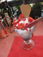 Canon PowerShot A590 IS, 2010:06:06 19:32:14 -- 1/60 sec, f/3.5.  Flash, Auto, Red-Eye Reduce.3264x2448 Red-Eye Reduction (Auto).