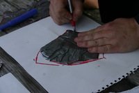 Canon EOS DIGITAL REBEL, 2009:07:30 10:07:54 -- 1/160 sec, f/10.0.  No Flash.3072x2048 Off.