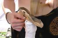 Canon EOS DIGITAL REBEL, 2009:08:01 14:37:10 -- 1/125 sec, f/8.0.  No Flash.3072x2048 Off.