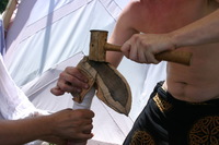 Canon EOS DIGITAL REBEL, 2009:08:01 14:43:28 -- 1/200 sec, f/11.0.  No Flash.3072x2048 Off.