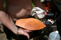 Canon EOS DIGITAL REBEL, 2009:08:01 14:16:25 -- 1/400 sec, f/11.0.  No Flash.3072x2048 Off.